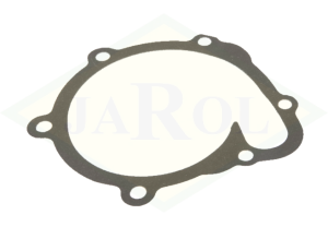 Uszczelka pompy wody 04202975