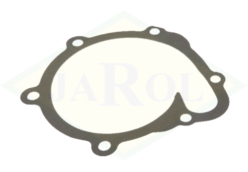 04202975 Uszczelka pompy wody 04202975