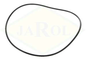 Pierścień  uszczelniający skrzyni biegów 247,24x3,53 - 2.1539.119.0