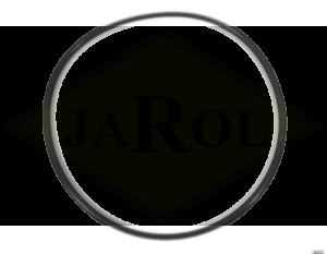 Oring 24260700